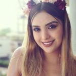 Ari Gameplays的主页