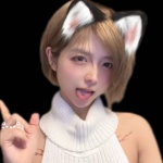 短发那只猫的主页