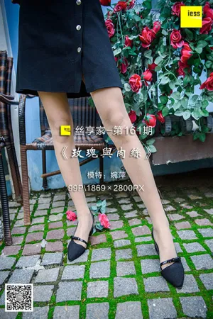 [IESS异思趣向]丝享家 2018.02.01 No.161 玫瑰与肉丝 婉萍