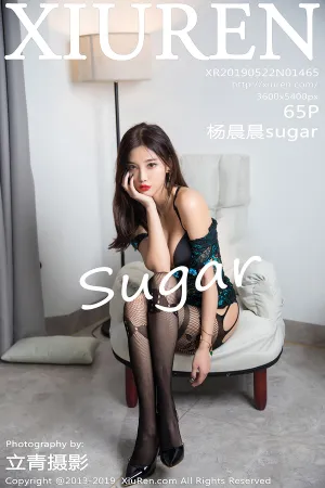 [XiuRen]秀人网 2019.05.22 No.1465 网袜与镂空内衣 杨晨晨sugar