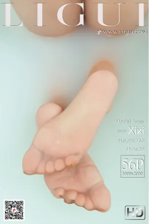 [LIGUI]丽柜 2020.11.04 白色内衣加肉色丝袜美腿 汐汐