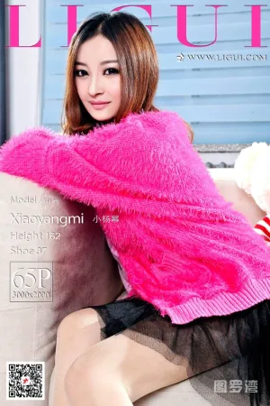 [LIGUI]丽柜 2021.01.03 黑色透视短裙加肉色丝袜美腿 小杨幂