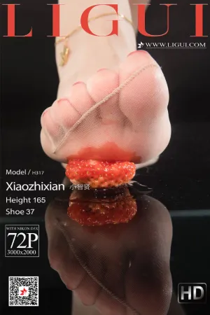 [LIGUI]丽柜 2021.05.05 香丝盛宴 小智贤