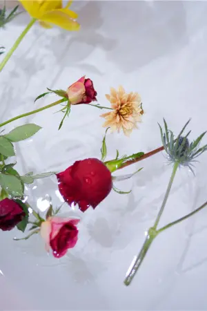 [WeiboGirl]微博红人 2021.06.26 橙色泳衣 黑川