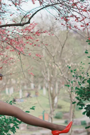 [WeiboGirl]微博红人 VIP会员订阅系列 辣妈女神