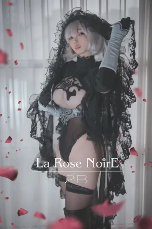 [DJAWA]韩国二次元 No.017 La_Rose_Noire_:_2B Bambi