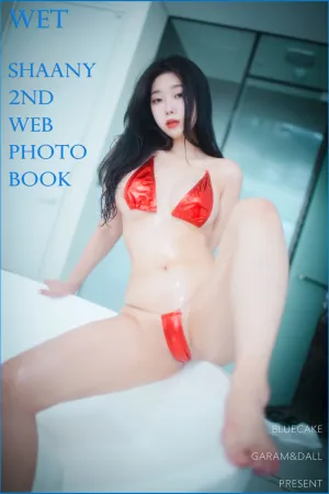 [BlueCake]韩国蓝色蛋糕 比基尼 湿身 Wet Shaany